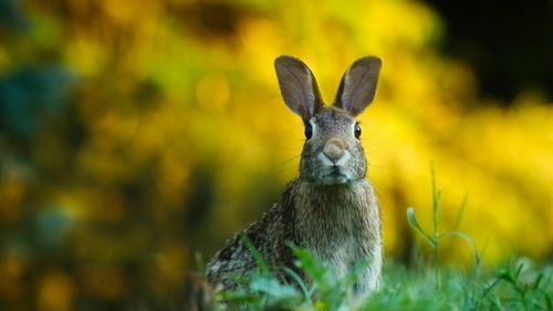 Un minisejur de Paște costă 500-600 de euro per cuplu/ Unde vor să meargă românii în vacanță? Consultant: Litoralul înregistrează o creștere considerabilă a turiștilor față de anul trecut