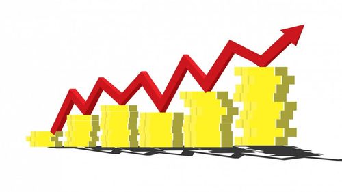 Președintele Comisiei Naționale de Prognoză: creştere economică anuală medie de 5%, vizată pentru 2024-2026