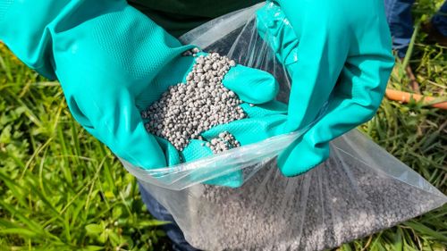 Parlamentul European a votat pentru introducerea de suprataxe vamale de 40-45 de euro/tonă pe îngrășămintele importate din Rusia și Belarus