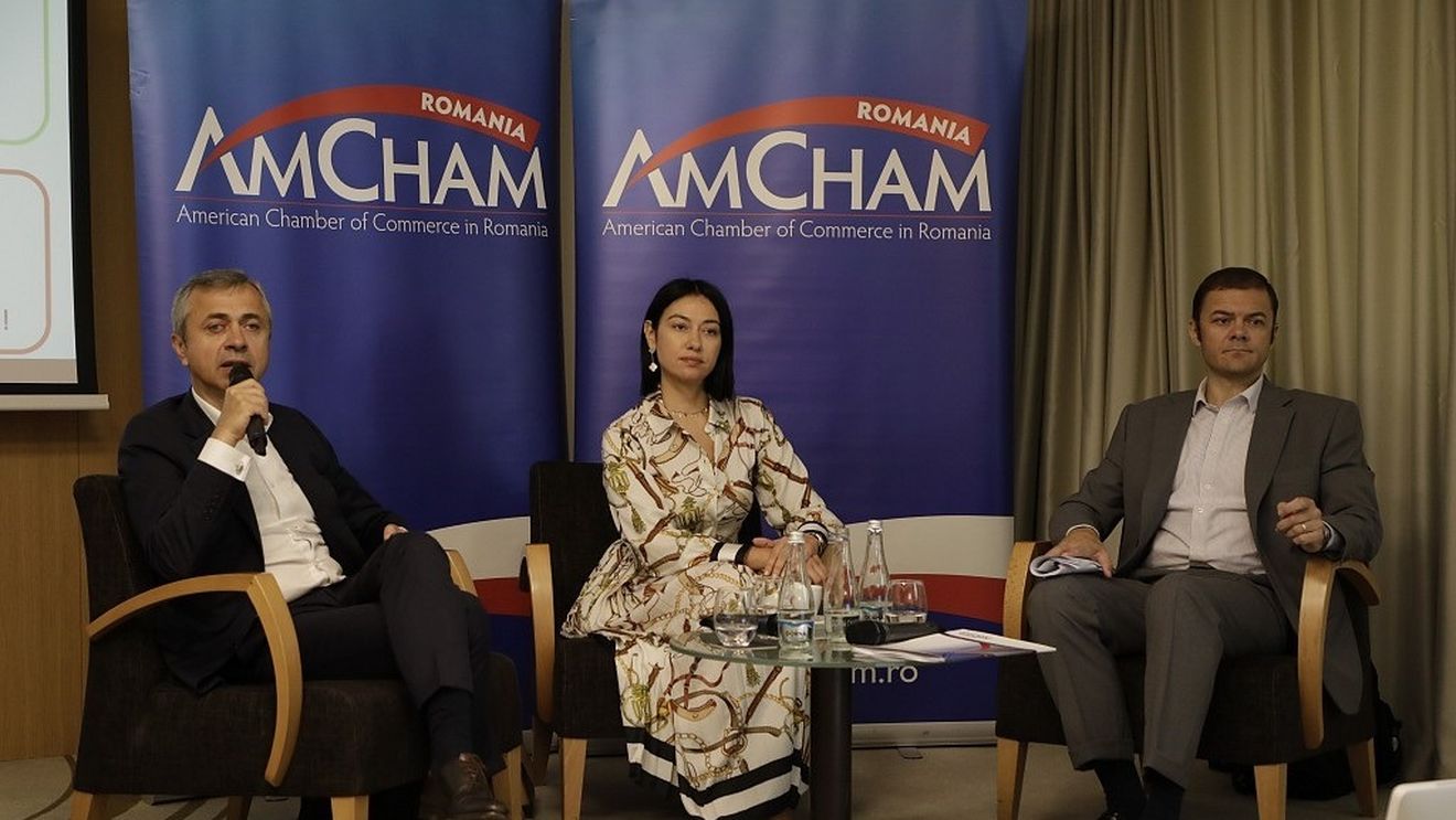 AmCham cere coaliției de guvernare să renunțe la intențiile de a introduce o taxă de solidaritate