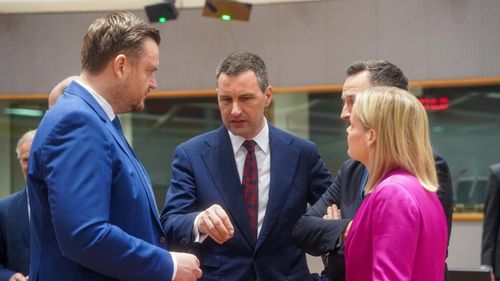 Ministrul Finanțelor: România susţine creşterea capacităţii de apărare a UE, dar consolidarea bugetară rămâne o prioritate