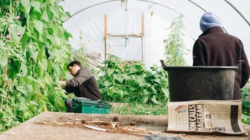 Ministrul Muncii și ambasadorul Germaniei au discutat despre situaţia muncitorilor sezonieri români