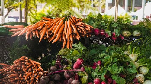 Planul agricol ecologic al suveranistului Călin Georgescu, demontat de o fermieră ce cultivă în sistem ecologic: „Aceste idei domină lumea USAMV-urilor, de unde ies fermieri care la rândul lor le perpetuează, în timp ce trăiesc cu avantajul subvențiilor UE”