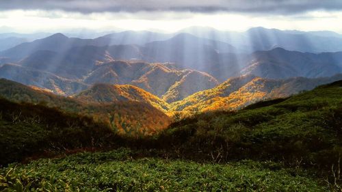 Transalpina, în topul peisajelor de toamnă recomandate de Wall Street Journal turiștilor americani
