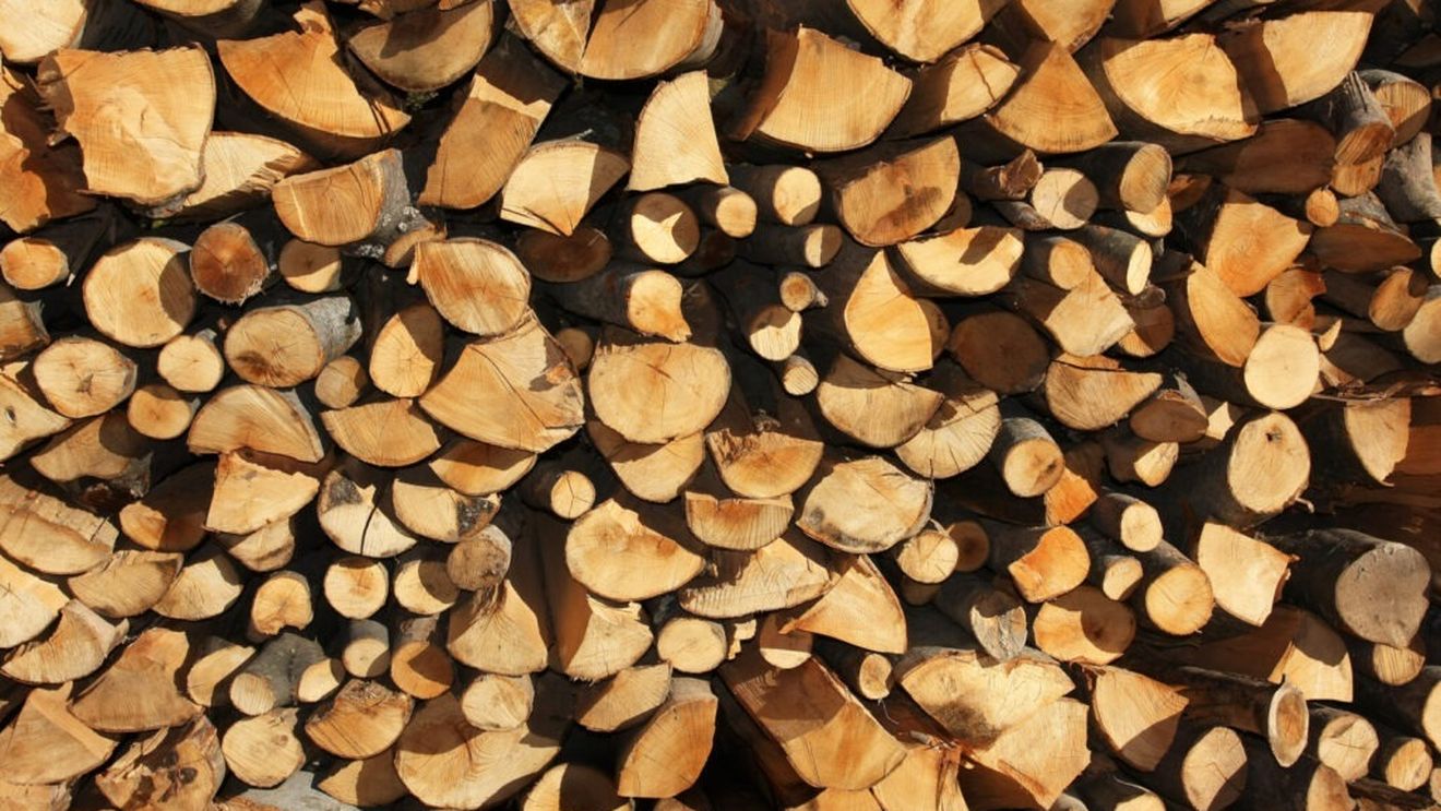 Reprezentanții industriei lemnului au anunțat acțiuni de protest în mai multe orașe din țară