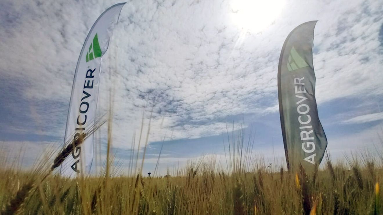 Agricover Holding, profit operaţional consolidat de peste 92 de milioane de lei anul trecut