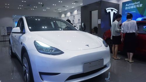 Tesla amână lansarea în SUA a unei versiuni accesibile a Model Y