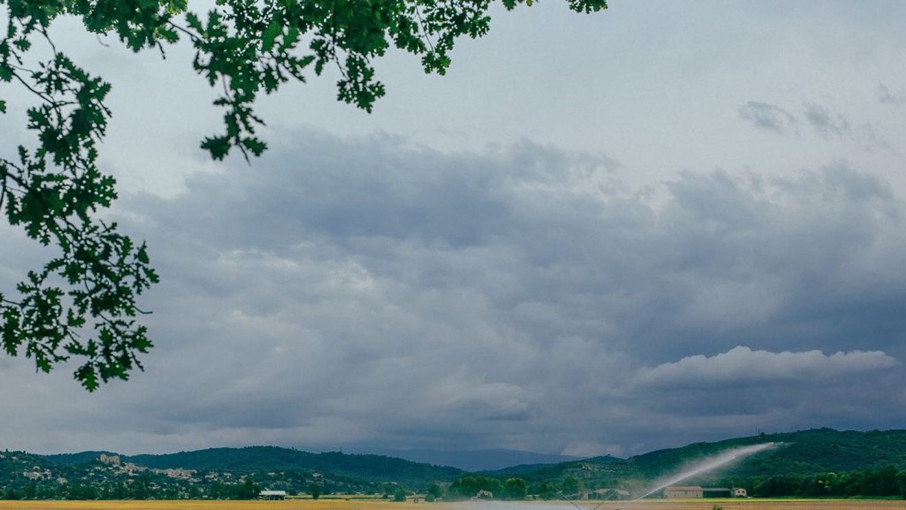 Nicu Vasile, LAPAR: 20% din suprafața agricolă a României nu beneficiază de titluri de proprietate; nu putem discuta nici despre irigații, nici despre dezvoltare