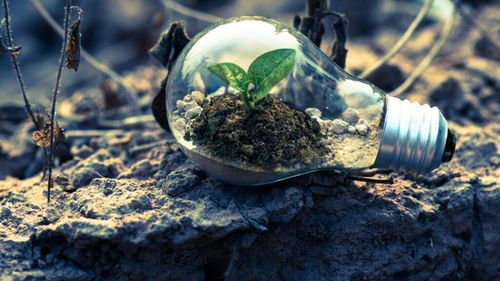 Eurostat anunță o creștere record a energiei electrice din surse regenerabile în țările UE