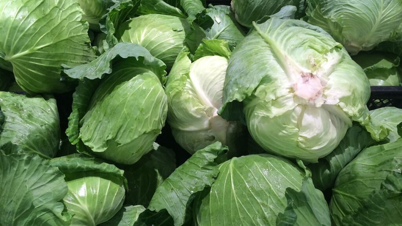 Fermier din Satu Mare, gest radical după ce nu și-a putut vinde recolta: „Donez varză bună. Cine dorește, este binevenit”