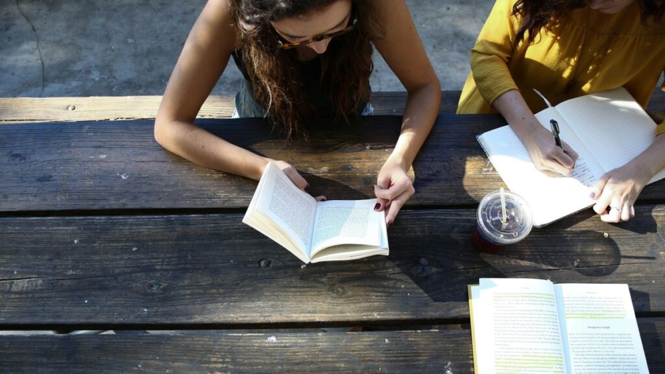 EduPedu: Bursele studenților ar putea fi înghețate în 2025/ Și olimpicii vor fi penalizați