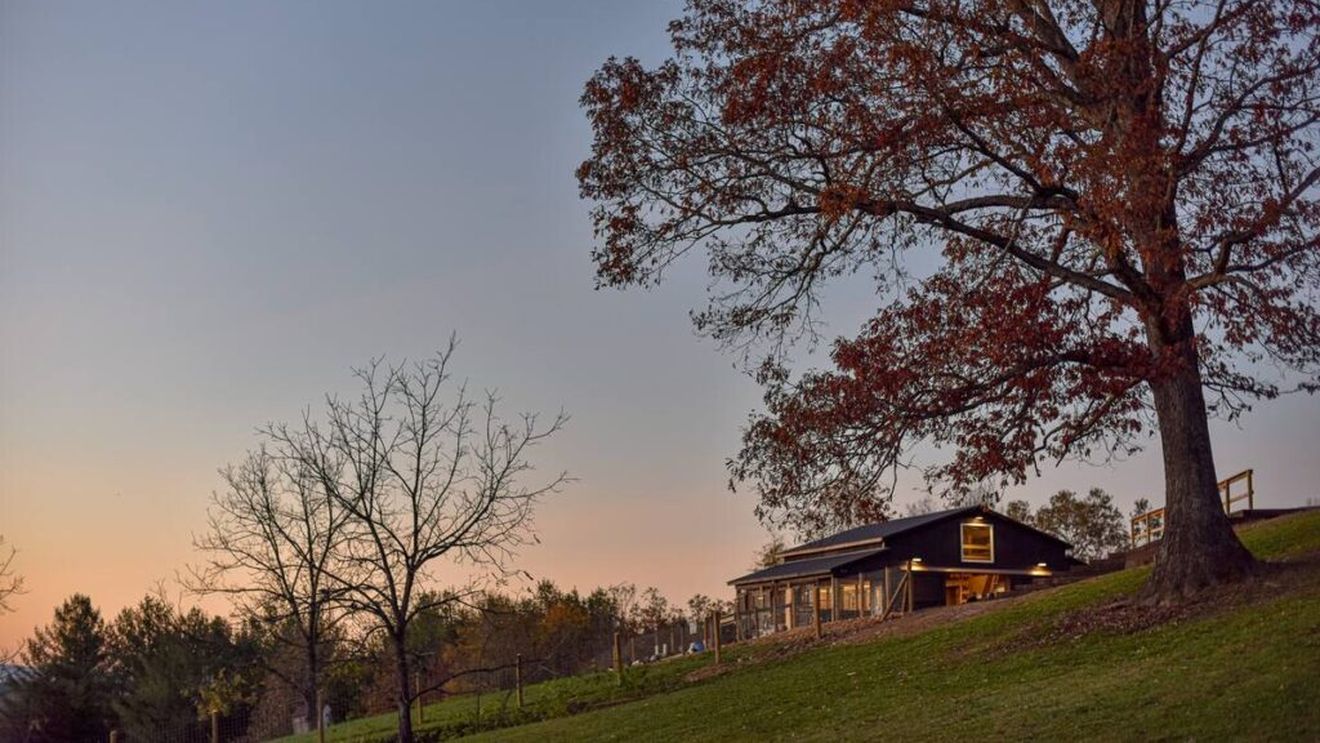 Fermierii americani apelează la Airbnb și își completează veniturile prin agroturism pentru a supraviețui recesiunii agricole