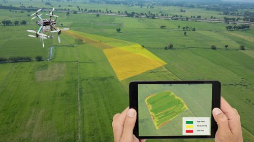 Noul peisaj în agricultură include tehnologizare, drone și GPS-uri în câmp. Administrator de fermă: "O dată cu achiziționarea noilor utilaje, devii mai mult tehnician, nu mai ești așa zisul tractorist"