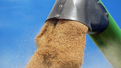 România, pe locul trei în topul țărilor destinatare ale exporturilor ucrainene de cereale, în 2023