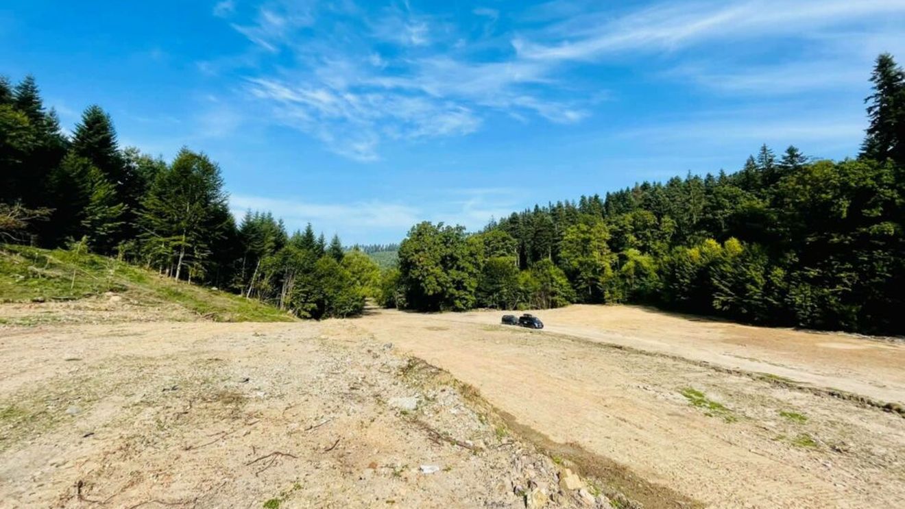 EXCLUSIV Victor Vremera, fost la Metropolitan, s-a asociat cu un grup de consultanți pentru a dezvolta 50 de case în județul Brașov