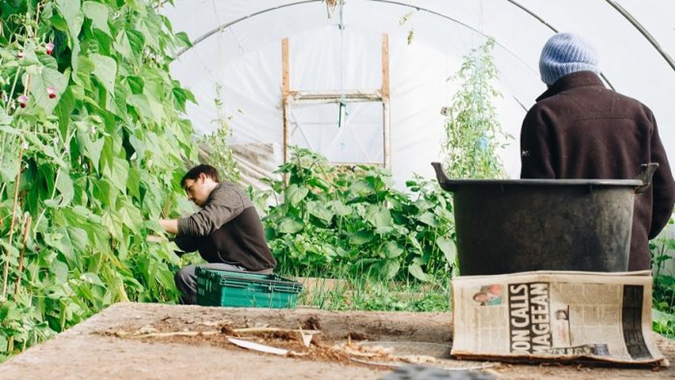 Ministrul Muncii și ambasadorul Germaniei au discutat despre situaţia muncitorilor sezonieri români