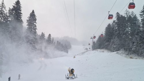Condițiile meteo dificile îi încurcă pe schiorii din Sinaia și Poiana Brașov