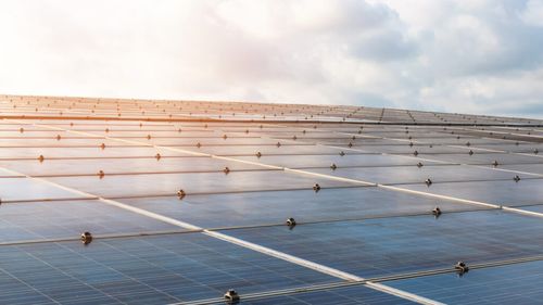 OMV Petrom anunță începerea primului mare proiect fotovoltaic. Compania a semnat contractul de proiectare și execuție