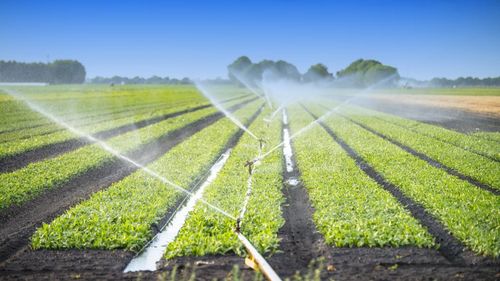 Ministrul Agriculturii spune că sistemul de irigaţii din România se va extinde anul acesta