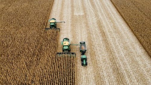 22 state membre UE au planurile strategice pe agricultură aprobate / Planul României va fi aprobat pe 5 decembrie. Daea: „Nu rămânem ultimii”