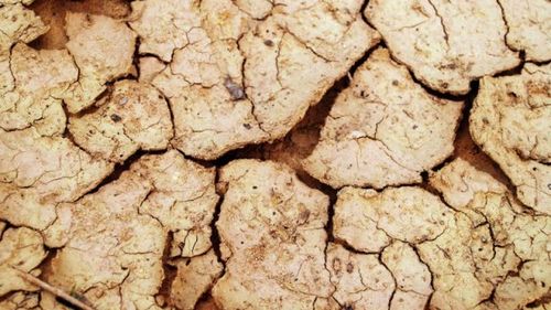 Agricultorii se confruntă deja cu secetă în areale din partea de est și sud-est a ţării, arată datele ANM