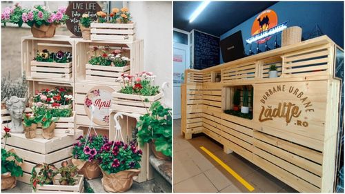 „Antreprenor cu valoare adăugată”: O afacere cu lădițe simple, dar durabile și arătoase, aduce profit familiei Pop / „Durbanele urbane” au primit nume precum Neghiniță sau Greuceanu pentru a fi diferențiate