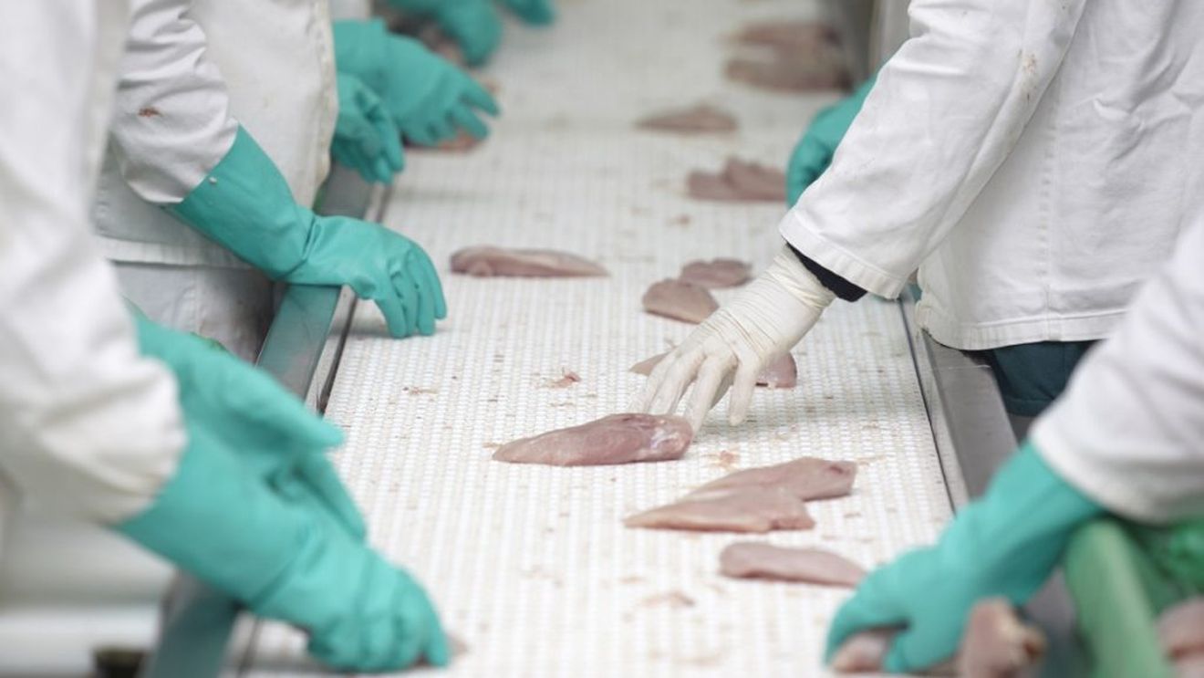 INTERVIU Producător: Dacă nu vom asista la reducerea prețurilor la energie, ne vom îndrepta mai mult către export. Piața din România nu poate absorbi o creștere de peste 30% la prețul cărnii de pui