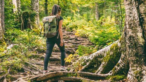 Numărul tichetelor de vacanţă emise a scăzut cu aproape 85% în luna septembrie 2025, faţă de aceeaşi perioadă din 2024