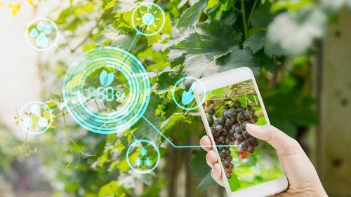 20 de startup-uri din Agricultură s-au înscris în accelerator digital creat de Agricover, SeedBlink și Microsoft