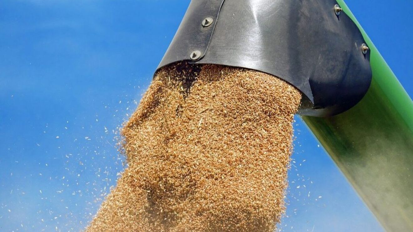 Ciolacu, la Summitul internaţional de la Kiev: În perioada următoare este vizată o creştere a capacităţii de transport a cerealelor ucrainene