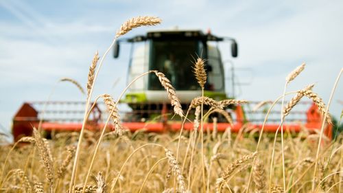 Culturile de câmp şi pomi-viticole se vor afla în stadiul de repaus vegetativ în toate zonele agricole ale ţării