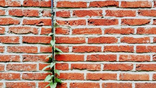 Studiu: 72% dintre investitori au un apetit ­mai mare pentru portofolii de proiecte verzi