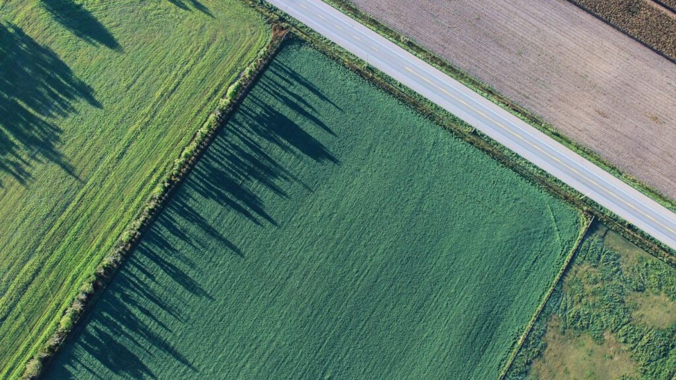 Eurostat: Preţul mediu al unui hectar de teren arabil era, în 2023, de aproape 12 mii de euro în Uniunea Europea, iar în România depășea 8.400 de euro