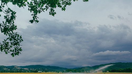 Nicu Vasile, LAPAR: 20% din suprafața agricolă a României nu beneficiază de titluri de proprietate; nu putem discuta nici despre irigații, nici despre dezvoltare