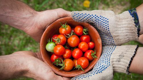 Singapore dă bani pentru înființarea de ferme de legume pe acoperișul parcărilor, pentru a spori securitatea alimentară. Analiștii se tem că, fără banii de la guvern, fermele ar putea dispărea
