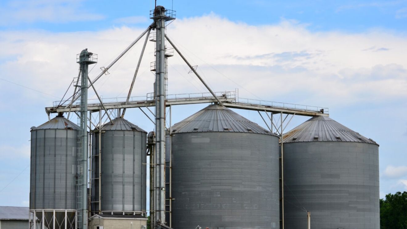 Ministrul german de Externe: "Lucrăm cu toţi partenerii noştri internaţionali pentru ca cerealele din Ucraina să nu putrezească în silozuri"