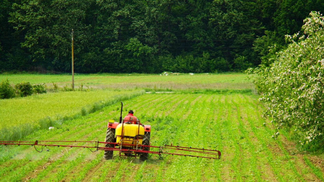 Vânzările de pesticide au scăzut cu 9% în 2023 în UE / În România, piața a înregistrat un declin de 20% în 12 ani
