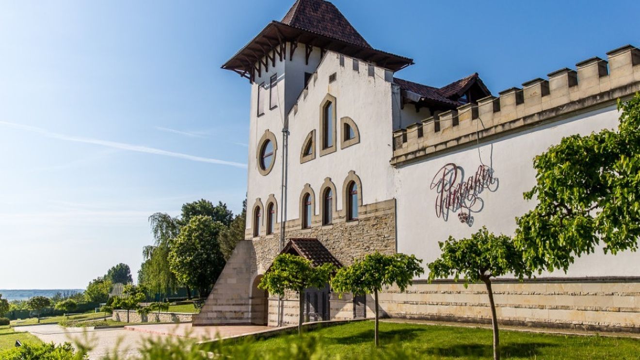 Producătorul de vinuri Purcari Wineries a înregistrat un profit net de 14,4 milioane lei în primele 9 luni ale anului 2022