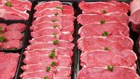 Brazilia a fost anul trecut cel mai mare producător de carne de vită din lume, depășind SUA